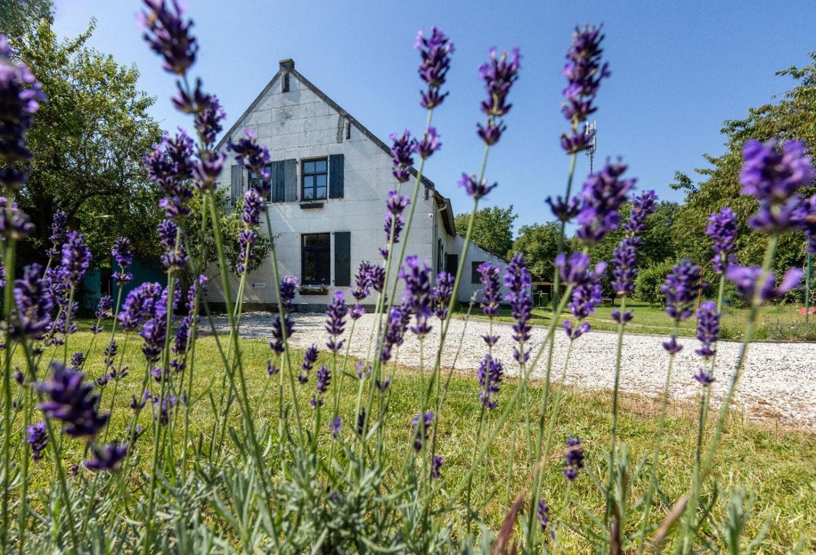 B&B Op De Soursehof Baexem Eksteriør billede